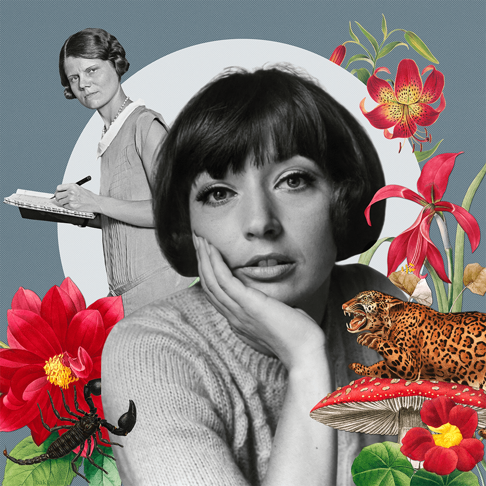 1960s woman resting her head in her head, looking resigned, surrounded by red flowers and an angry-looking leopard illustration. Behind her is another woman from the 1930s, taking notes and looking critically at the first woman.